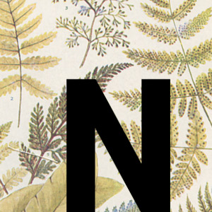 N - Autores riojanos