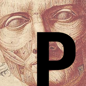 P - Autores riojanos
