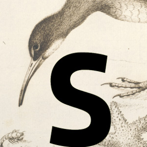 S - Autores riojanos