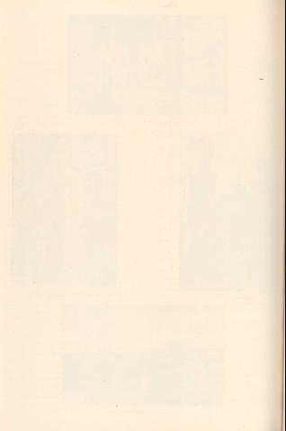 255