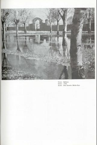 115