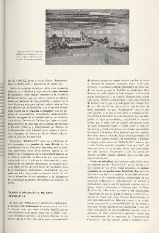 81