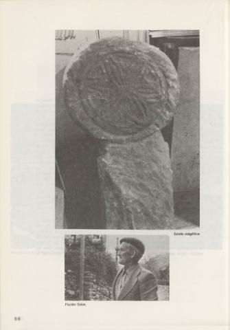 56