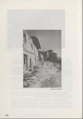 164