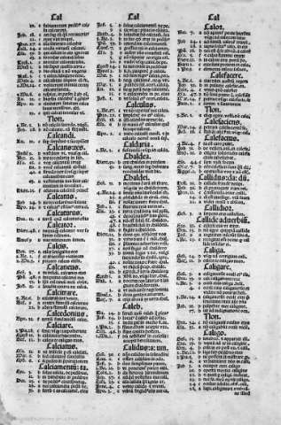 31r