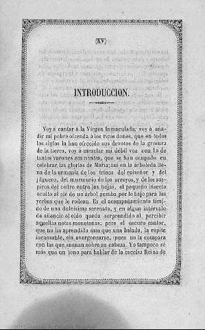 XV