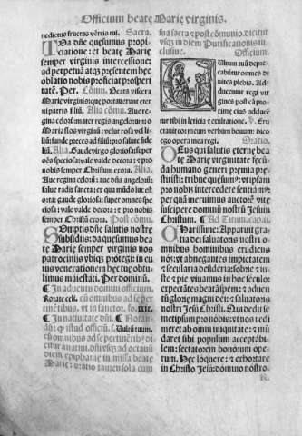 cxxiv