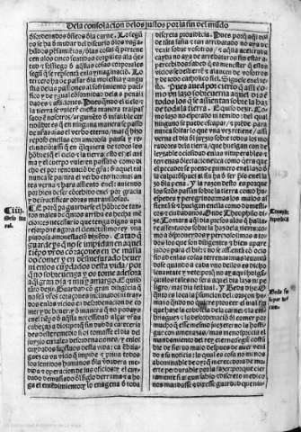 ccxv