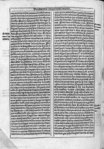 ccxxxiiv