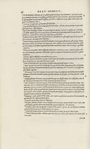 46