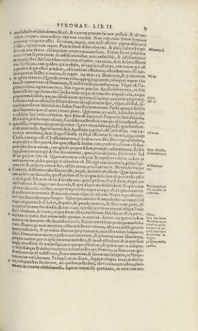 81