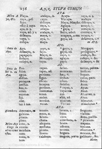 256