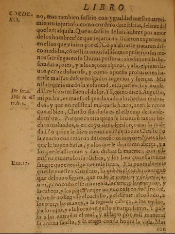 251v