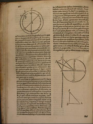 46