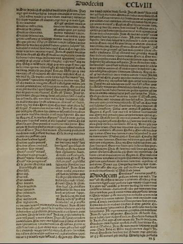 CCLVIII r