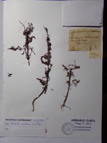 Imagen del registro