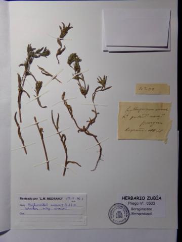 image/jpeg