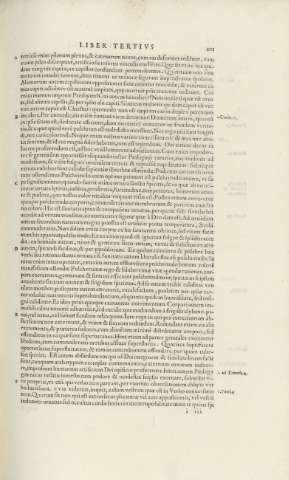 101